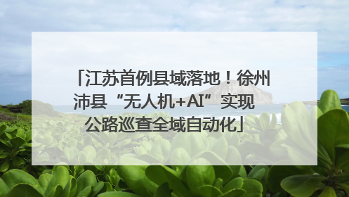 江苏首例县域落地！徐州沛县“无人机+AI”实现公路巡查全域自动化