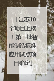 江苏10个项目上榜！第二批智能制造标准应用试点项目确定