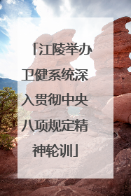 江陵举办卫健系统深入贯彻中央八项规定精神轮训