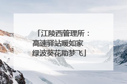 江陵西管理所：高速驿站暖如家 绿波葵花助梦飞