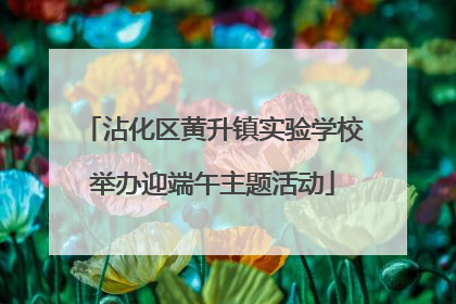 沾化区黄升镇实验学校举办迎端午主题活动
