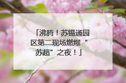 沸腾！苏锡通园区第二现场燃爆“苏超”之夜！