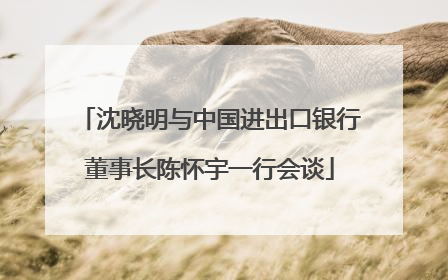 沈晓明与中国进出口银行董事长陈怀宇一行会谈