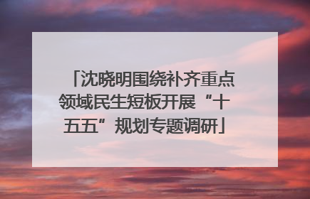 沈晓明围绕补齐重点领域民生短板开展“十五五”规划专题调研
