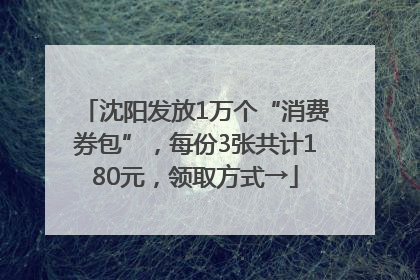 沈阳发放1万个“消费券包”，每份3张共计180元，领取方式→