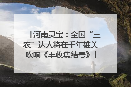 河南灵宝：全国“三农”达人将在千年雄关吹响《丰收集结号》