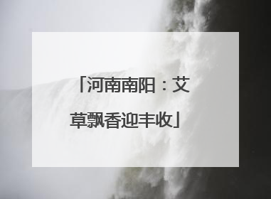 河南南阳：艾草飘香迎丰收