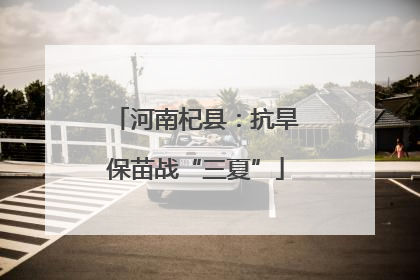 河南杞县：抗旱保苗战“三夏”