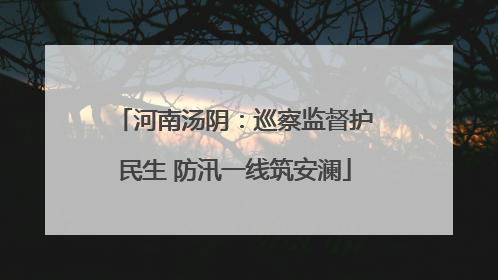 河南汤阴：巡察监督护民生 防汛一线筑安澜