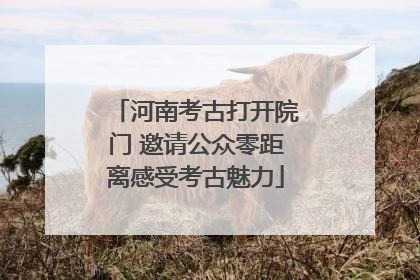 河南考古打开院门 邀请公众零距离感受考古魅力