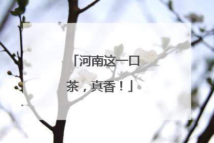 河南这一口茶，真香！