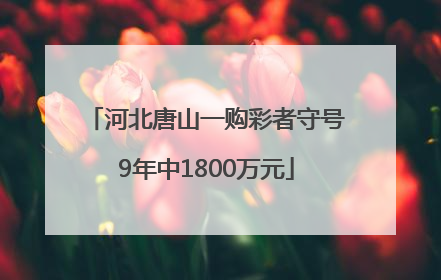河北唐山一购彩者守号9年中1800万元