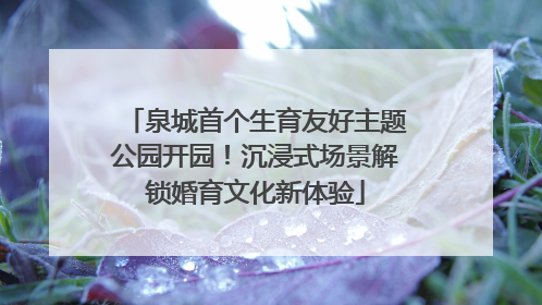 泉城首个生育友好主题公园开园！沉浸式场景解锁婚育文化新体验