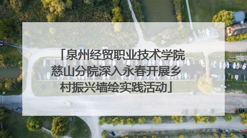 泉州经贸职业技术学院慈山分院深入永春开展乡村振兴墙绘实践活动