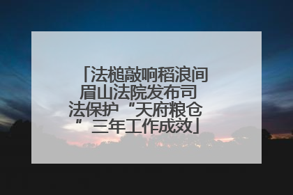 法槌敲响稻浪间 眉山法院发布司法保护“天府粮仓”三年工作成效