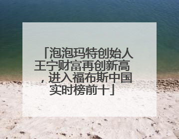 泡泡玛特创始人王宁财富再创新高，进入福布斯中国实时榜前十