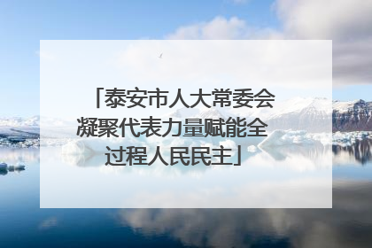 泰安市人大常委会凝聚代表力量赋能全过程人民民主