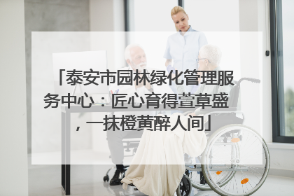 泰安市园林绿化管理服务中心：匠心育得萱草盛，一抹橙黄醉人间