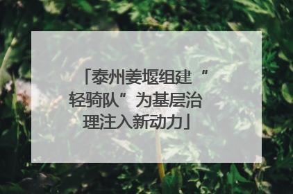 泰州姜堰组建“轻骑队”为基层治理注入新动力
