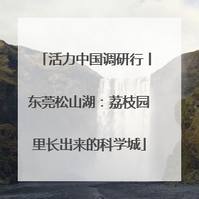 活力中国调研行丨东莞松山湖：荔枝园里长出来的科学城