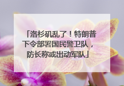 洛杉矶乱了！特朗普下令部署国民警卫队，防长称或出动军队