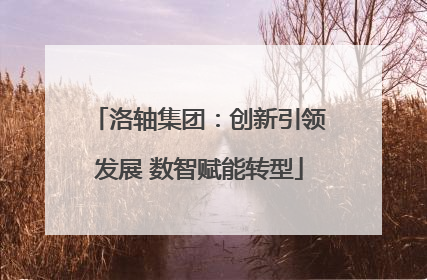 洛轴集团：创新引领发展 数智赋能转型