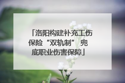 洛阳构建补充工伤保险“双轨制” 兜底职业伤害保障