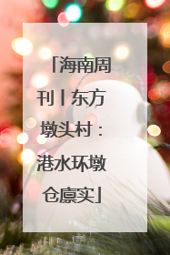 海南周刊丨东方墩头村：港水环墩仓廪实