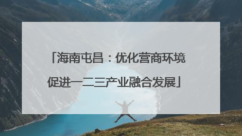 海南屯昌：优化营商环境 促进一二三产业融合发展