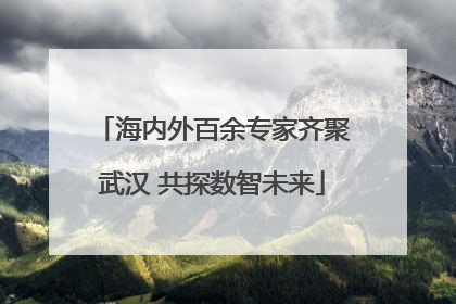 海内外百余专家齐聚武汉 共探数智未来