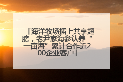 海洋牧场插上共享翅膀，老尹家海参认养“一亩海”累计合作近200企业客户