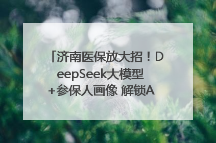济南医保放大招！DeepSeek大模型+参保人画像 解锁AI医保管家新体验