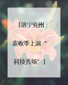济宁兖州：麦收季上演“科技秀场”