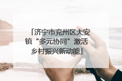 济宁市兖州区大安镇“多元协同”激活乡村振兴新动能