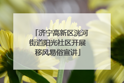 济宁高新区洸河街道阳光社区开展移风易俗宣讲