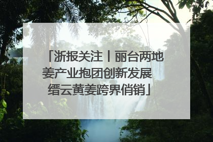 浙报关注丨丽台两地姜产业抱团创新发展 缙云黄姜跨界俏销