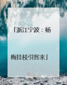 浙江宁波：杨梅挂枝引客来