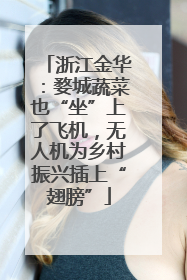浙江金华：婺城蔬菜也“坐”上了飞机，无人机为乡村振兴插上“翅膀”