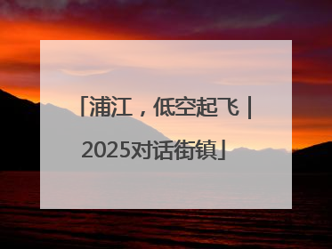 浦江，低空起飞｜2025对话街镇