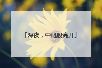 深夜，中概股高开