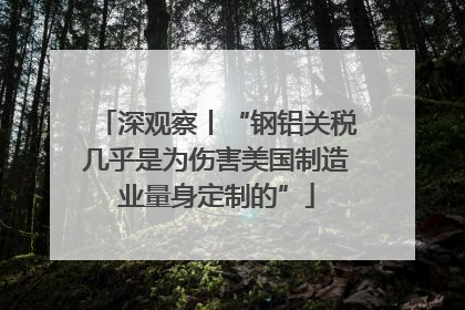 深观察丨“钢铝关税几乎是为伤害美国制造业量身定制的”