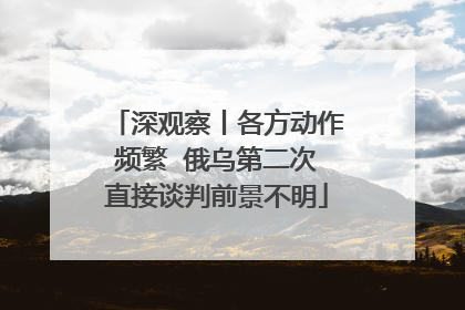 深观察丨各方动作频繁  俄乌第二次直接谈判前景不明