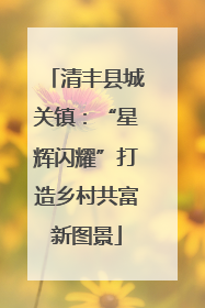 清丰县城关镇：“星辉闪耀”打造乡村共富新图景
