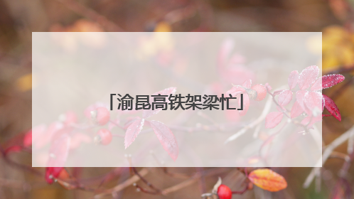 渝昆高铁架梁忙