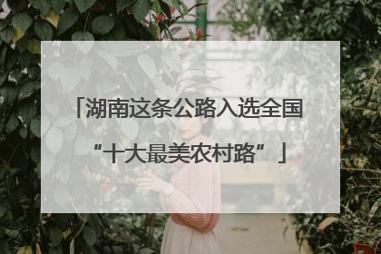 湖南这条公路入选全国“十大最美农村路”