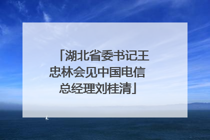 湖北省委书记王忠林会见中国电信总经理刘桂清