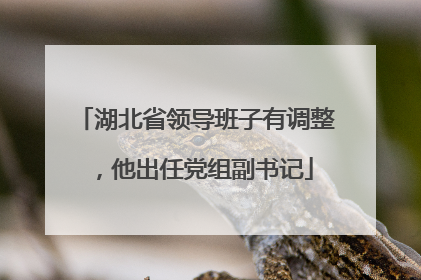 湖北省领导班子有调整，他出任党组副书记