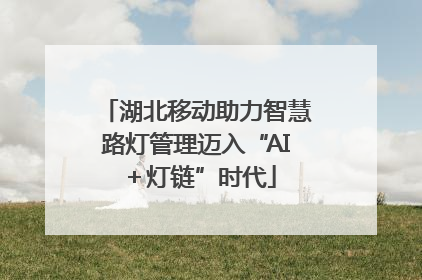 湖北移动助力智慧路灯管理迈入“AI＋灯链”时代