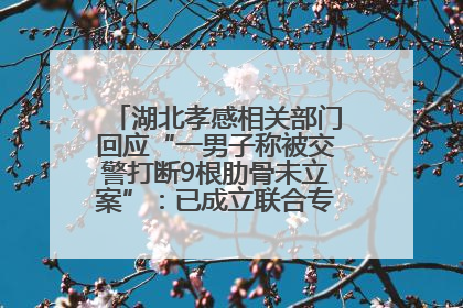 湖北孝感相关部门回应“一男子称被交警打断9根肋骨未立案”：已成立联合专班开展工作