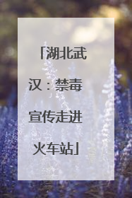 湖北武汉：禁毒宣传走进火车站